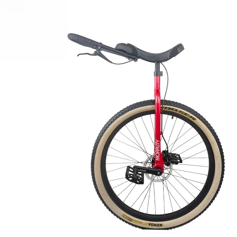 Monocycle de route 29 pouces a - Cycling Commute Distance avis et prix